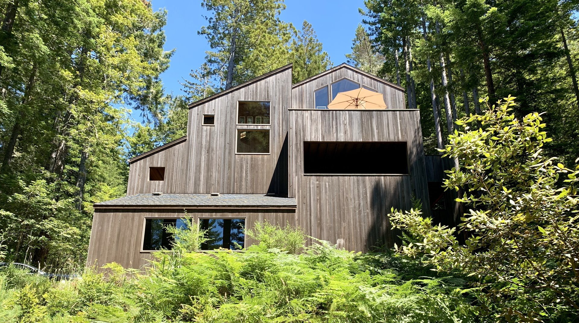 Tons of natural lighting and open floor plan